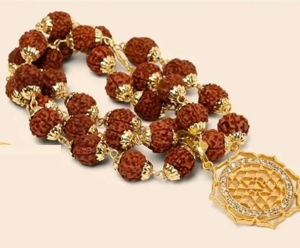 100% Original Rudraksha Divine Blessings of Lord Shiva Certified & Energized