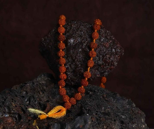 Original & Certified Mahamandaleshwar Swami Rudraksha Sacred Bead for Peace, Prosperity & Spiritual Growth