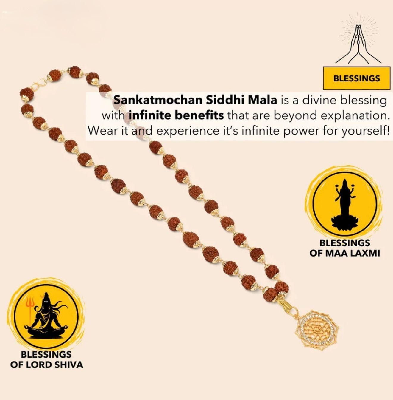 100% Original Rudraksha Divine Blessings of Lord Shiva Certified & Energized